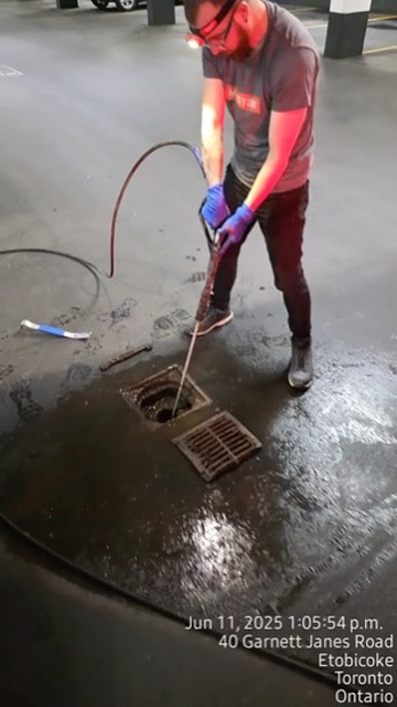 Drain & Surface Cleaning